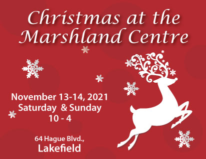 Christmas at the Marshland Centre