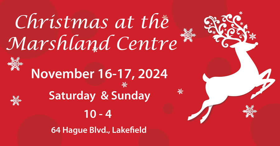 Christmas at the Marshland Centre 2024